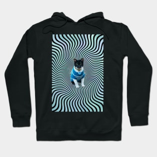 Trippy Kitty Hoodie